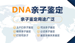 衡水个人想办理亲子鉴定需要如何做，衡水DNA亲子鉴定需要的条件和材料有哪些